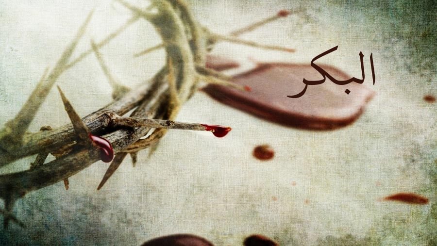 M26_NM29_The Firstborn