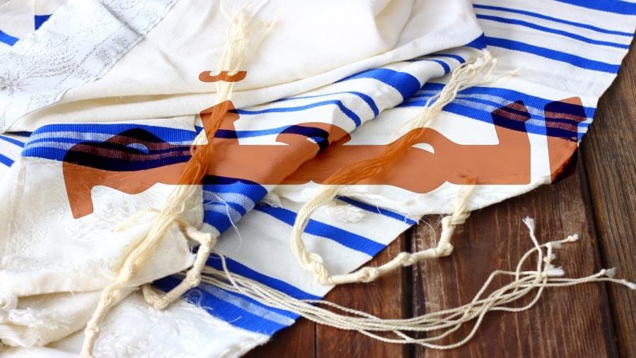 X06_NM42_rabbi2