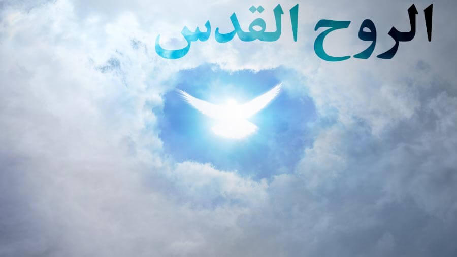 X45_NM19_Holy Spirit